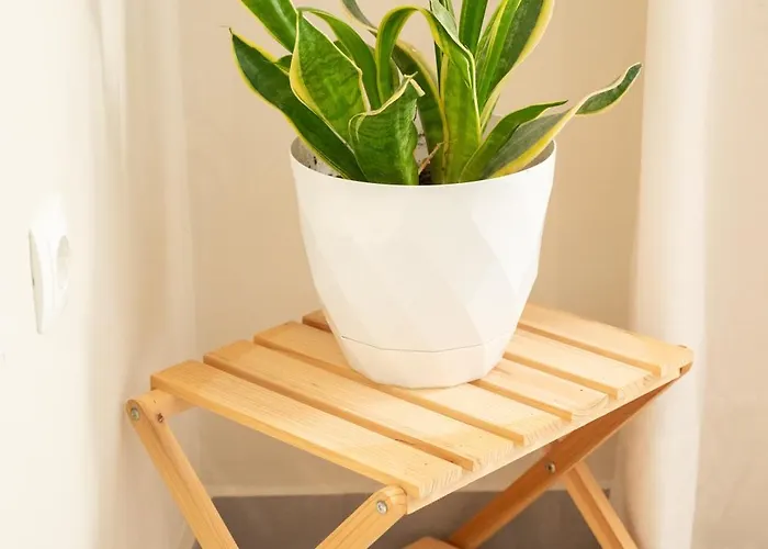 Feriehus Calme Luxury *